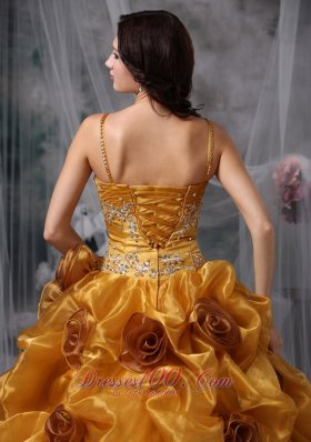 Brown Ball Gown Straps Organza Beading Quinceanera Dress